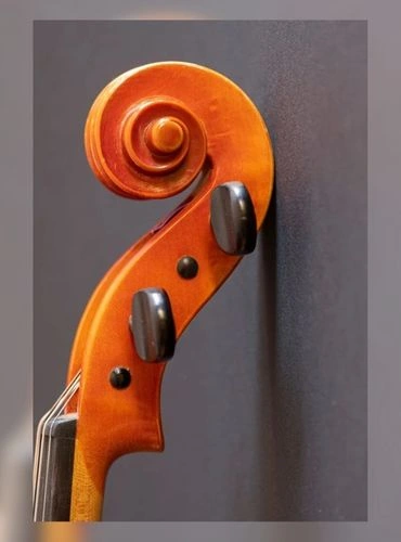 Partes del violin - clavijero