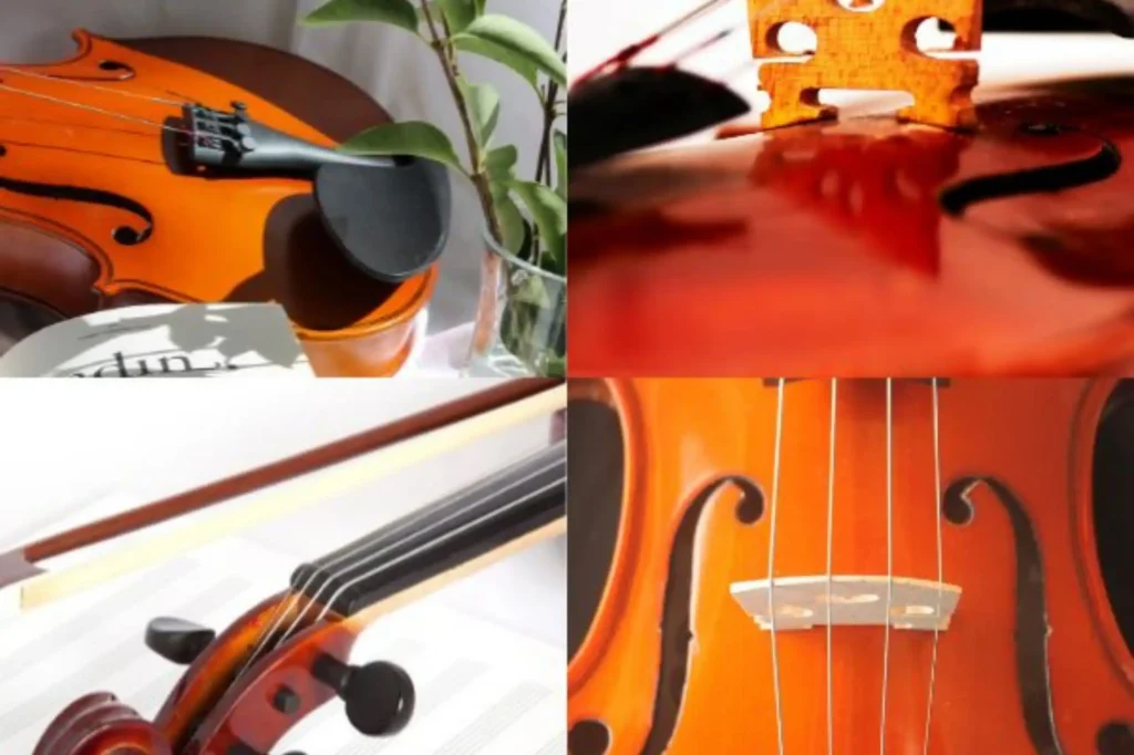las partes del violin