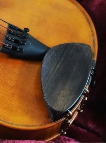 las partes del violin la mentonera