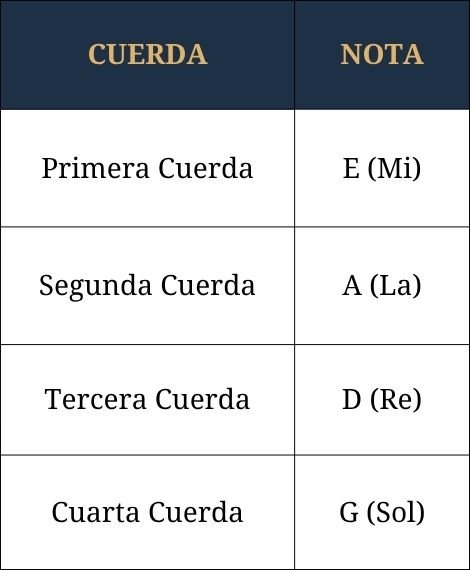 las notas de las cuerdas del violin