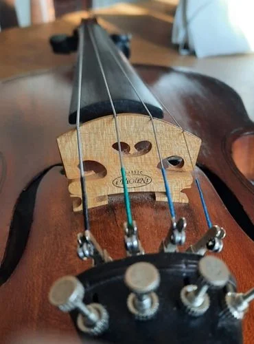 partes del violin el puente