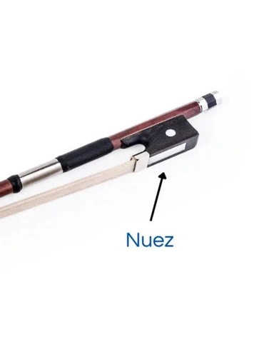 partes del arco nuez