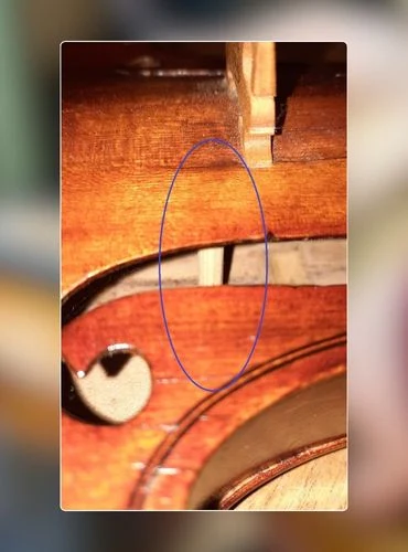 partes del violin alma