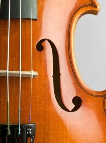 partes del violin efes