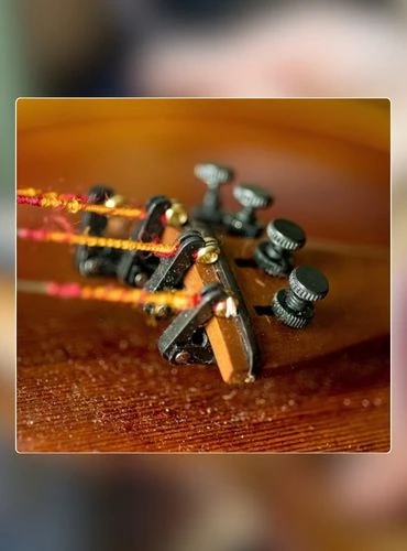 Las partes del violin los microafinadores