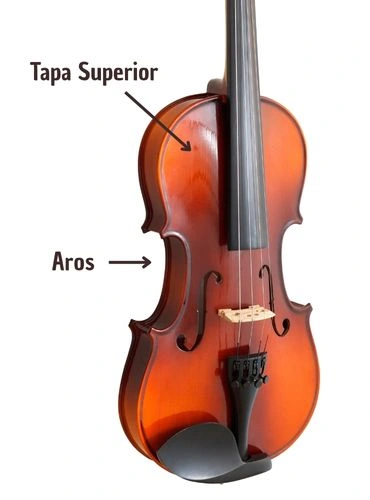 partes del violin caja de resonancia