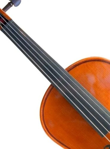 partes del violin el diapason