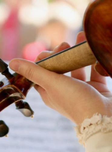 partes del violin mastil