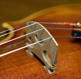 posicion del puente del violin