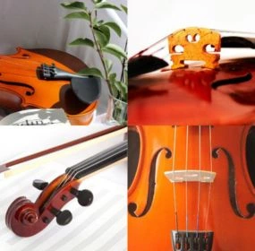 todas las partes del violin
