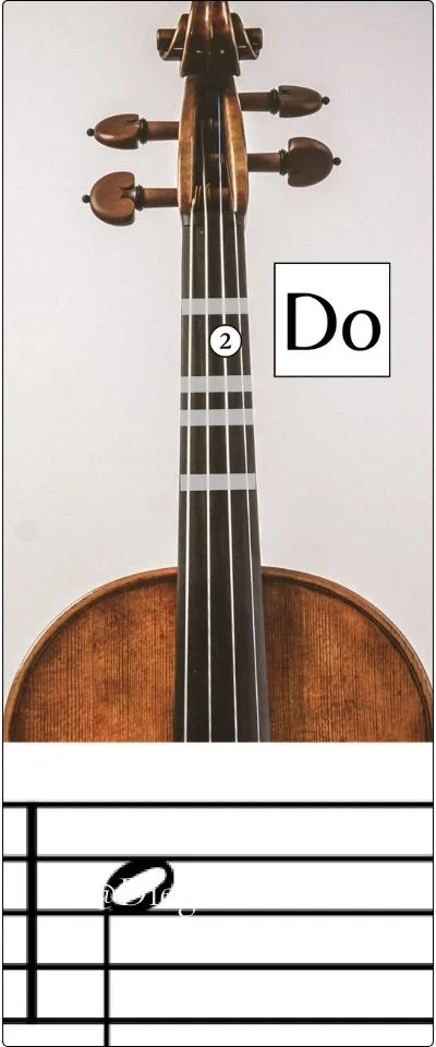 doo 5