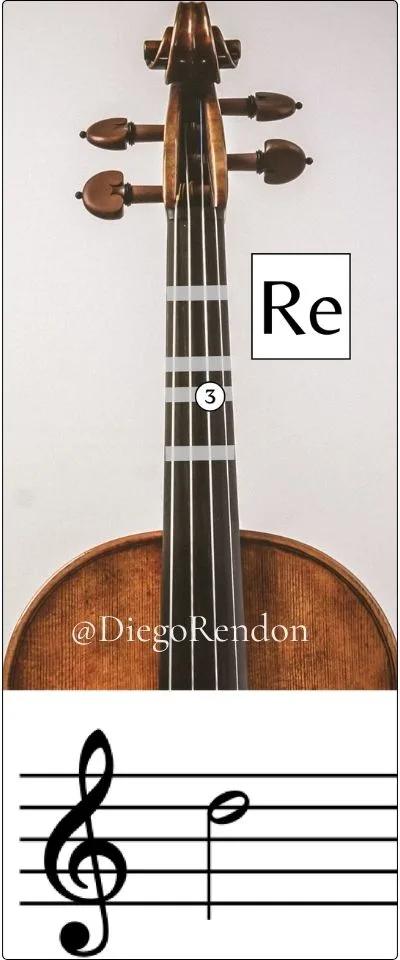 ree 5