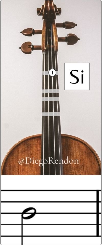 si 4