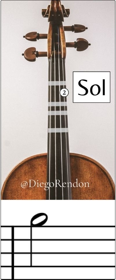 sol 5