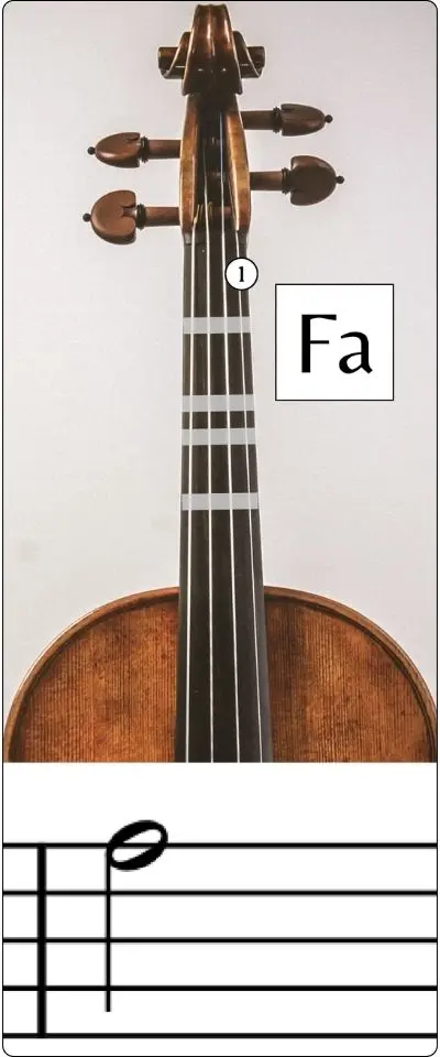 fa 5