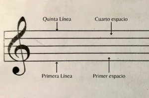 La imagen muestra el pentagrama musical con indicaciones que señalan la primera y quinta línea, y el primer y cuarto espacio.