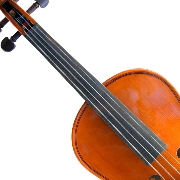 Imagen mostrando el diapasón de un violín
