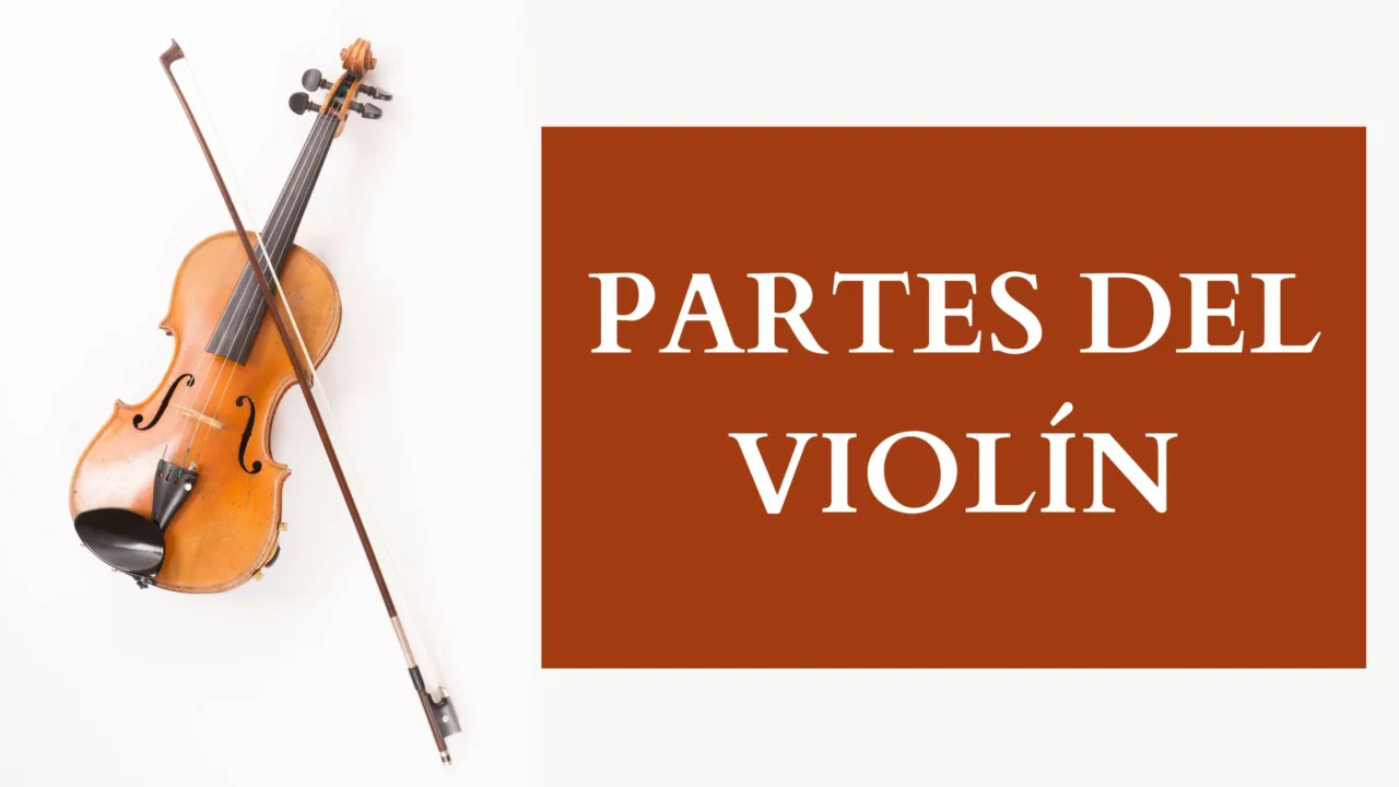 Cuáles son las partes del violín