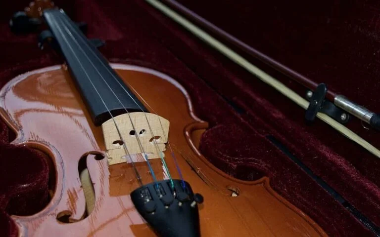 Cómo cuidar el violín