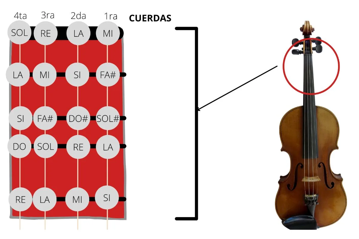 Notas de las cuerdas en el diapasón del violín