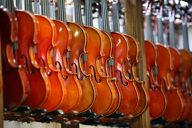 Tienda de violines